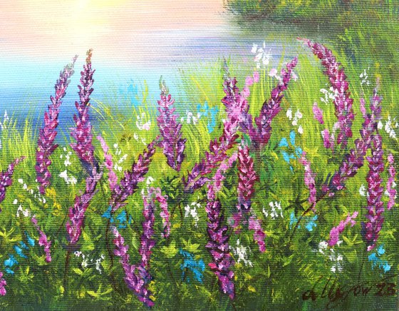 Lake with lupines meadow