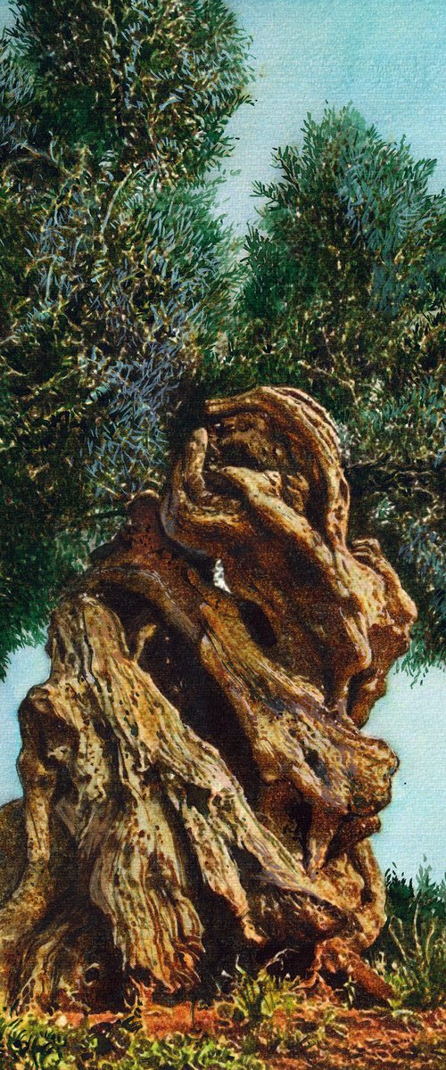 Olive Tree XV by REME Jr.