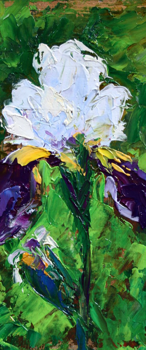 Iris I... 5x8" /  ORIGINAL PAINTING by Salana Art Gallery