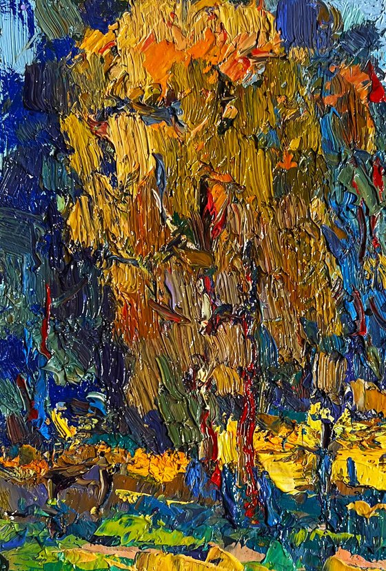 Sunbeams on the meadows