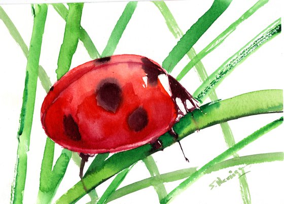 Ladybug