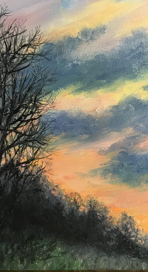 FEBRUARY SUNDOWN # 2 by Kathleen McDermott