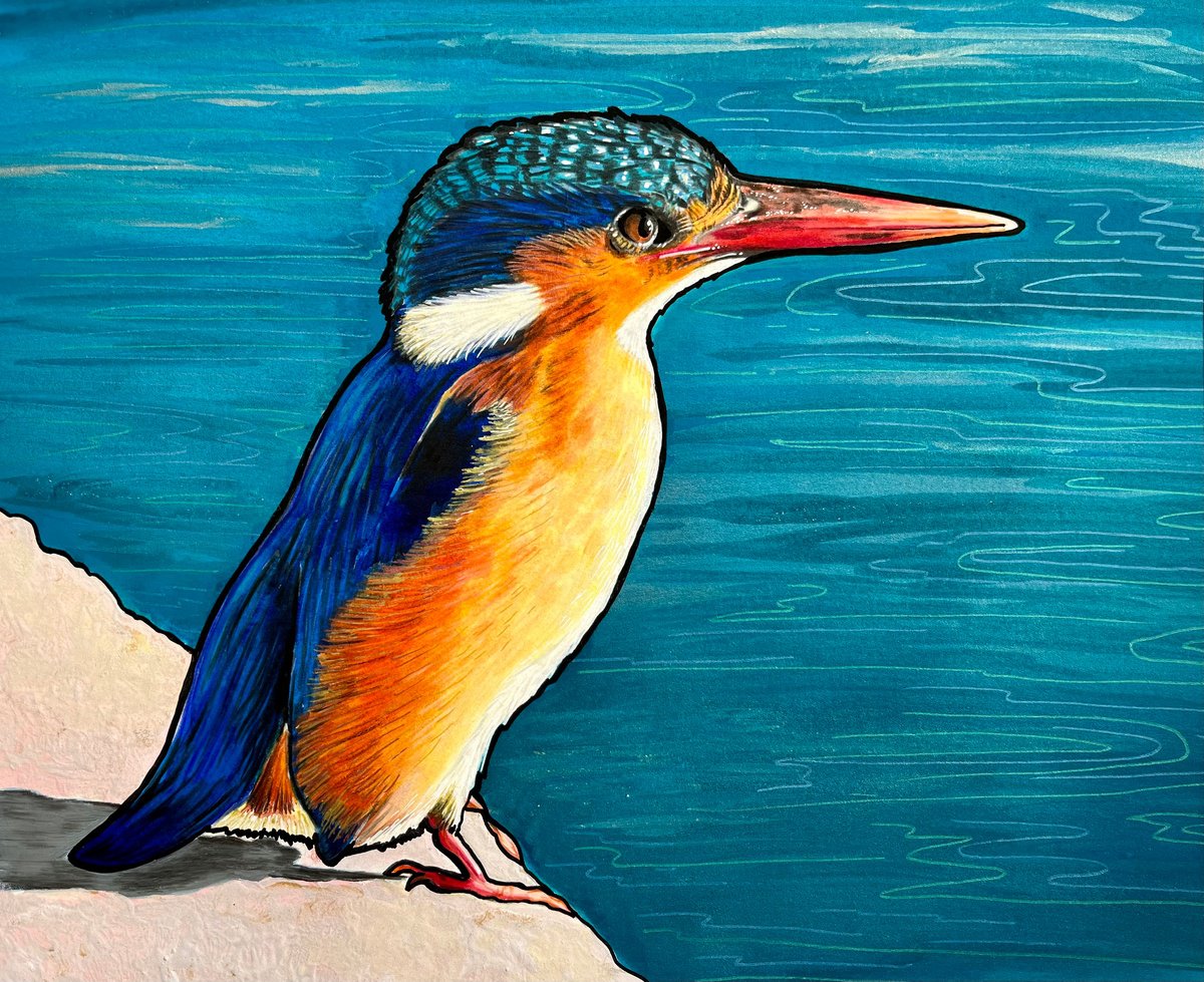 Illustrative Painting , Kingfisher By Karen Elaine Evans, 12 X 10, Artwork For Sale On Artfinder