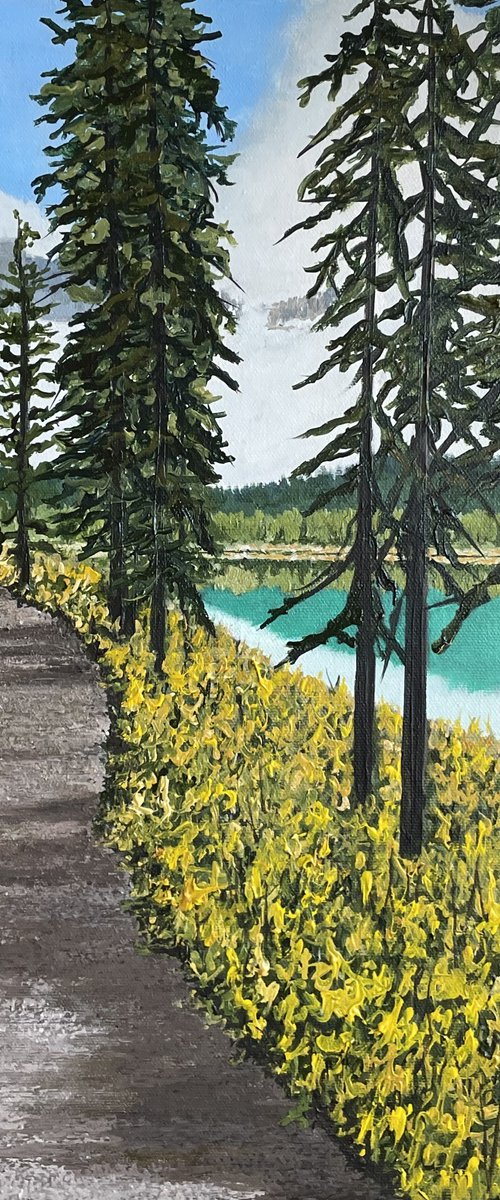 A Path Through Golden Flowers by Anne Shaughnessy