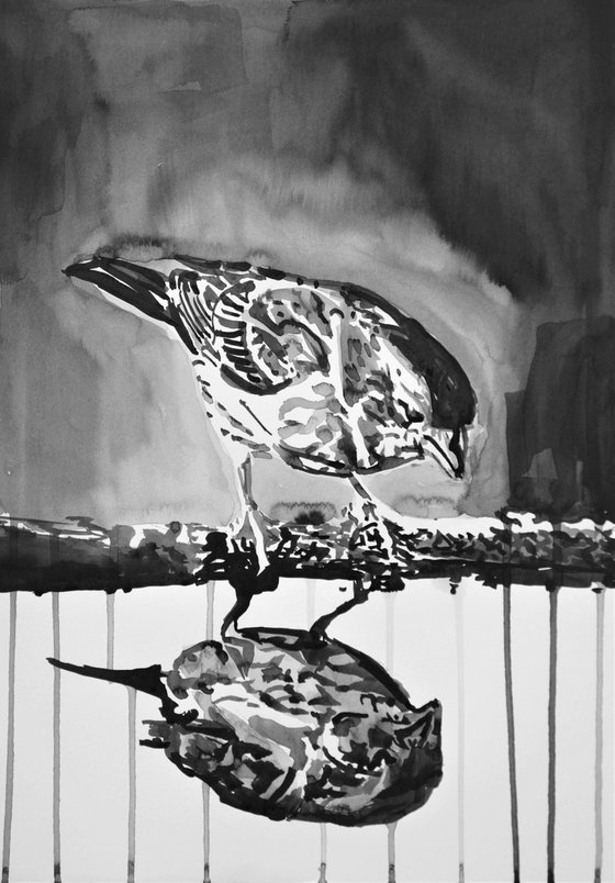 Sparrow / 42 x 29.7 cm