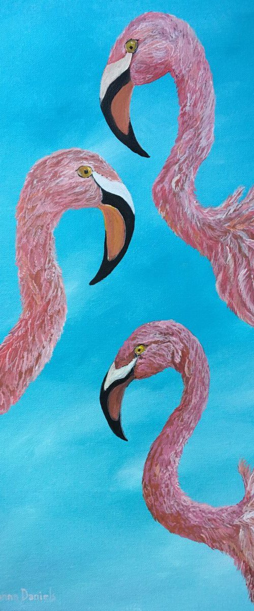 Pink by Donna Daniels