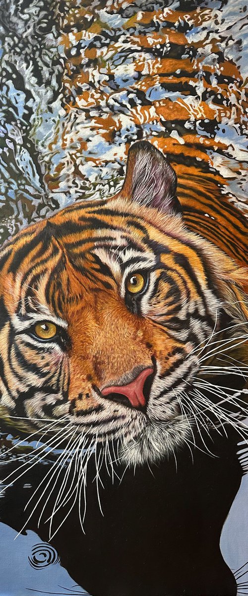 Flow by Martyna Maik