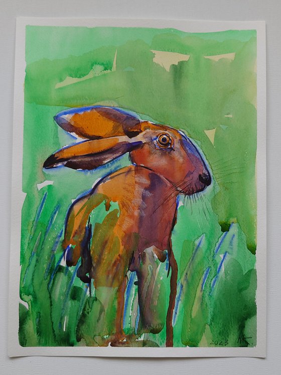 Alert in the Meadow
