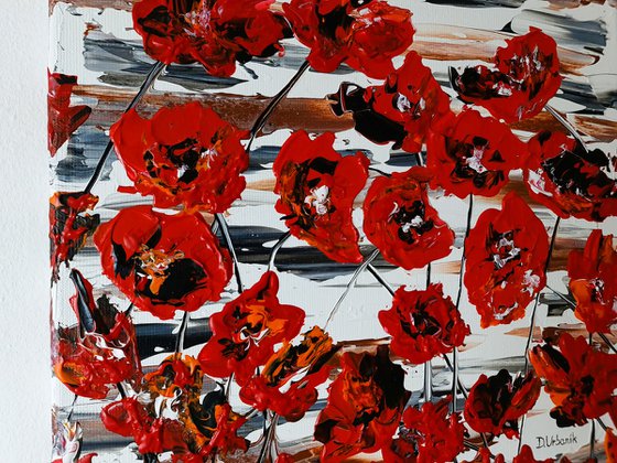Red Poppies 5