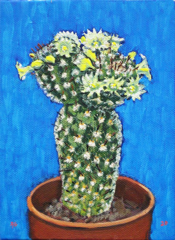 Cactus on a Blue Background