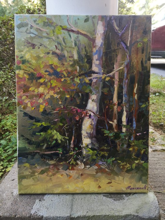 Autumnal park #3, pleinair, original, oil on canvas painting (12x16x0.7")