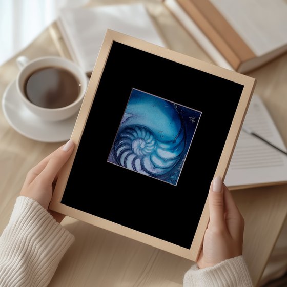 Nautilus Shell 69