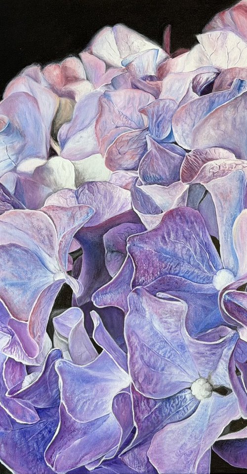 Hydrangea Nocturne by Valeriia Obertas
