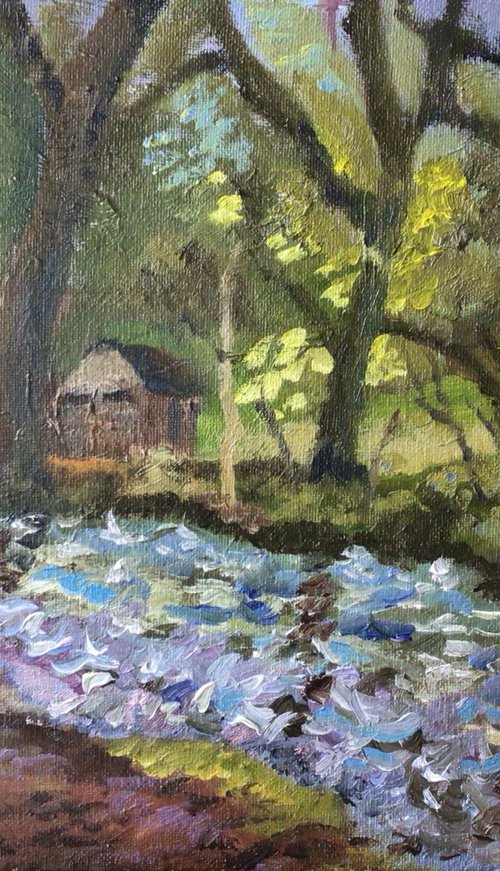 Aberglaslyn River, Snowdonia by Julian Lovegrove Art