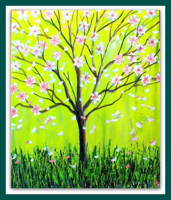 Magnolia Spring
