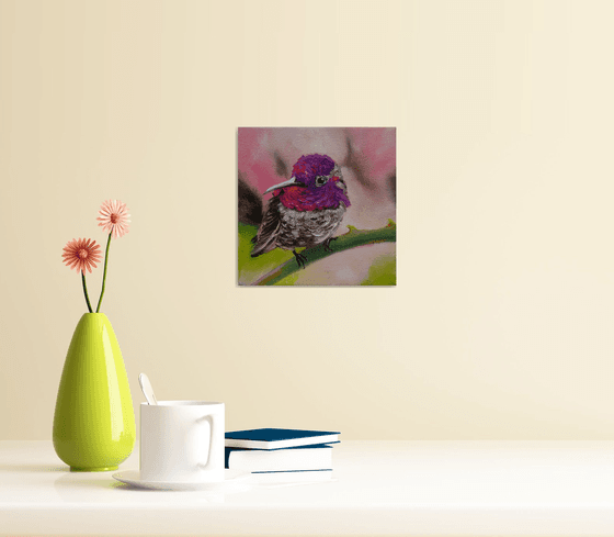 Violet Hummingbird