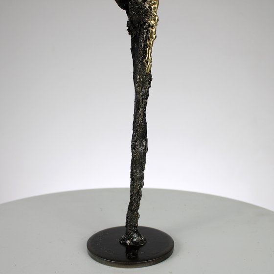 Muse 144-21