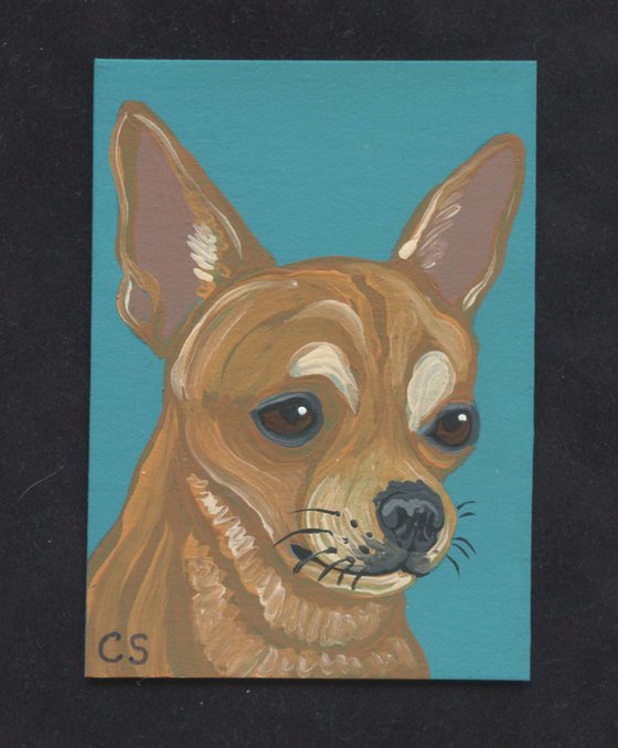 ACEO ATC Original Miniature Painting Blonde Chihuahua Pet Dog Art-Carla Smale