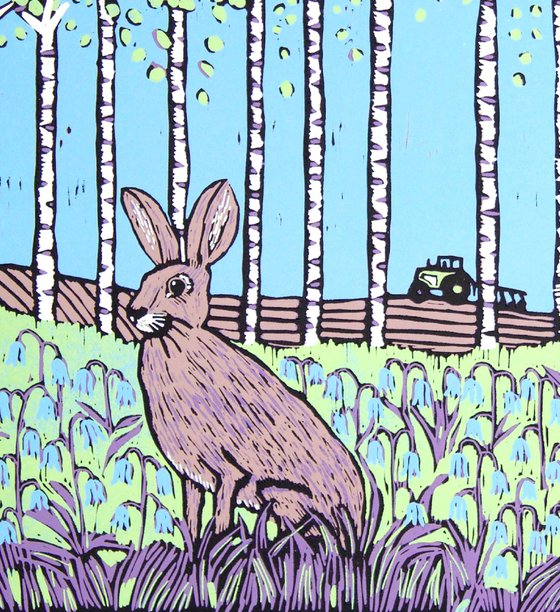 Hare and Bluebells