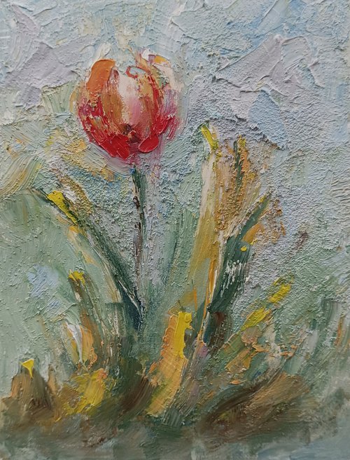 Tulip flowers 3 by Marinko Šaric
