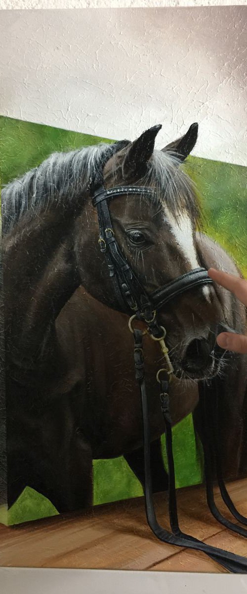 Horse by Eka Peradze