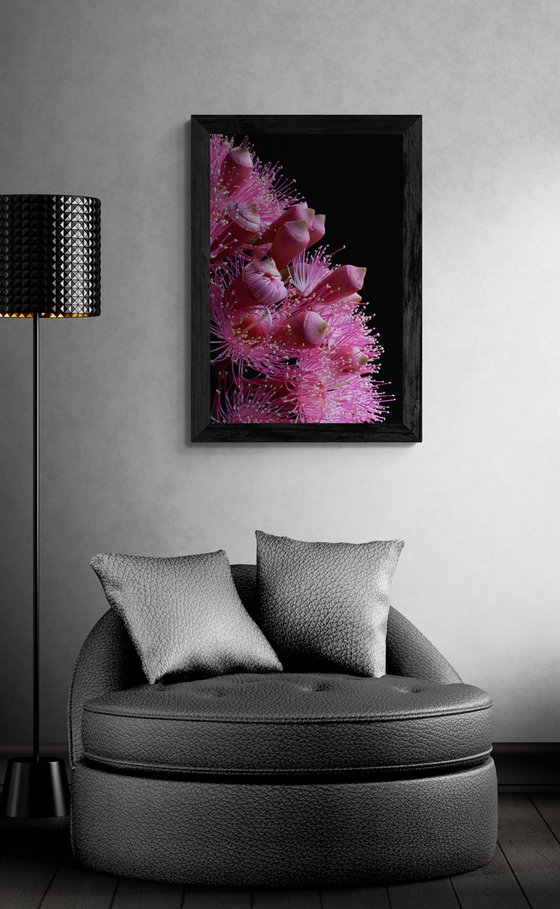 Summer Beauty Flowers
