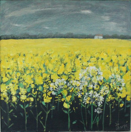 A field of yellow oil seed rape by Jo Sharpe