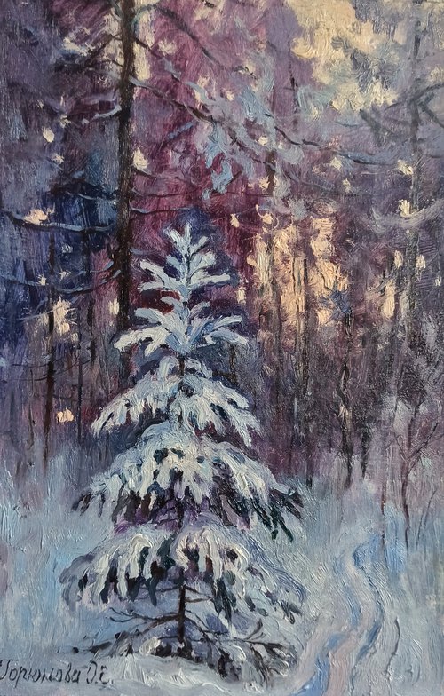Yuong spruce by Olga Goryunova