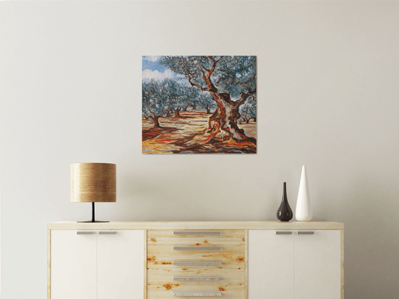 Olive Grove