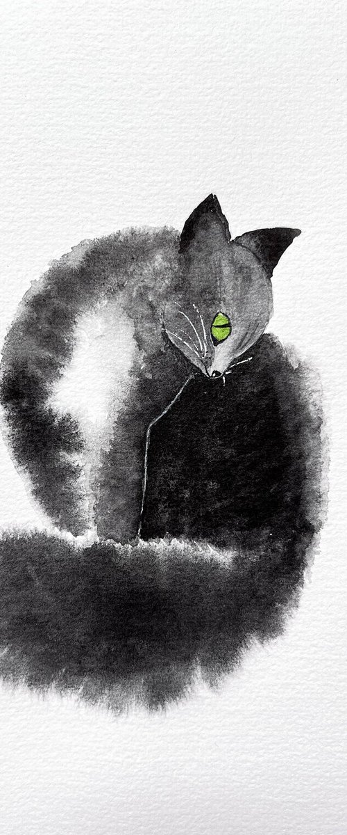 Fluffy black cat by Tetiana Kovalova