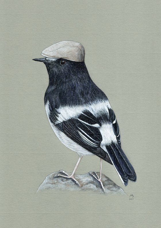 Original pastel drawing bird "Little forktail"