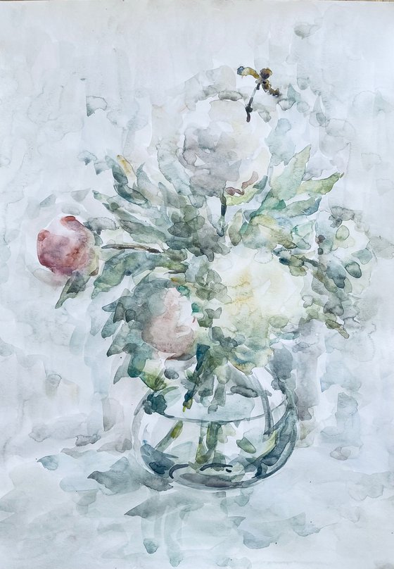 Peonies. Watercolor painting