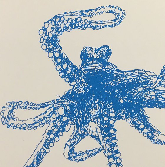 Squiggly Octopus