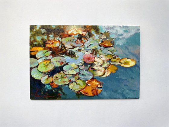 Autumn lilies.