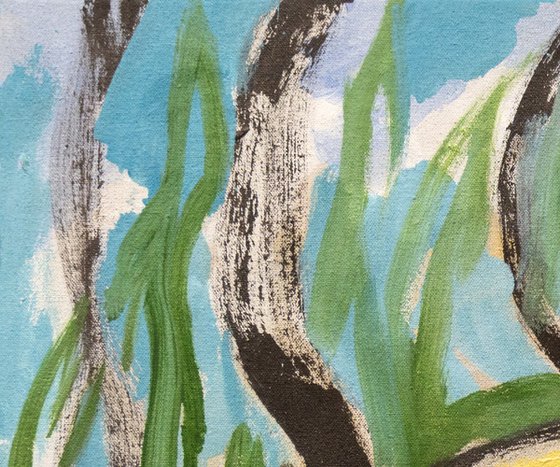 Wild Woods