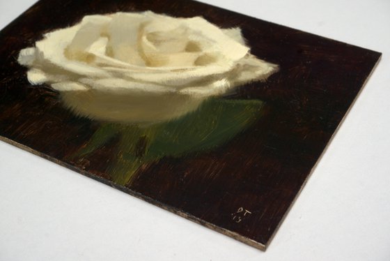 White rose