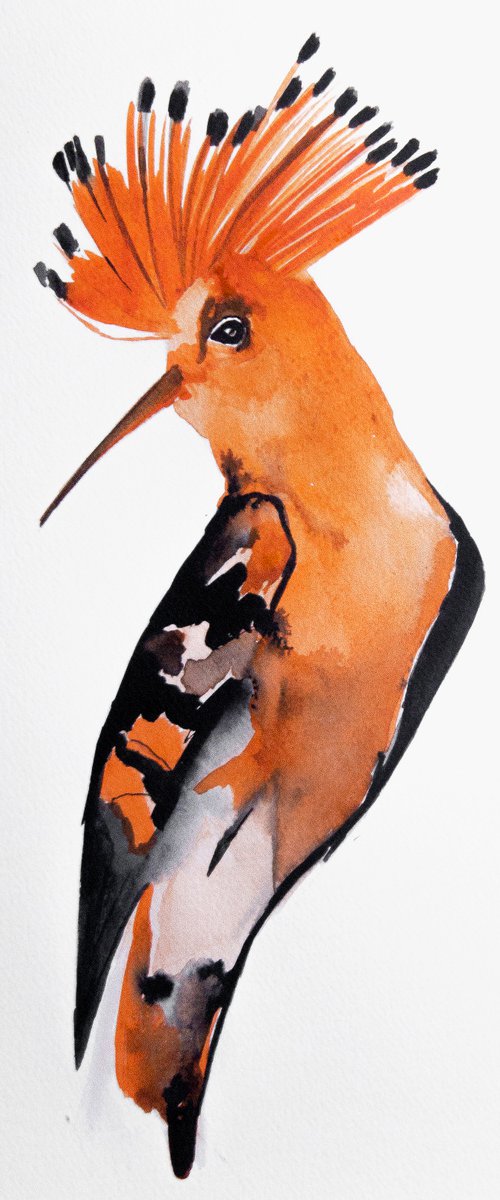 Bird by Nadia Moniatis