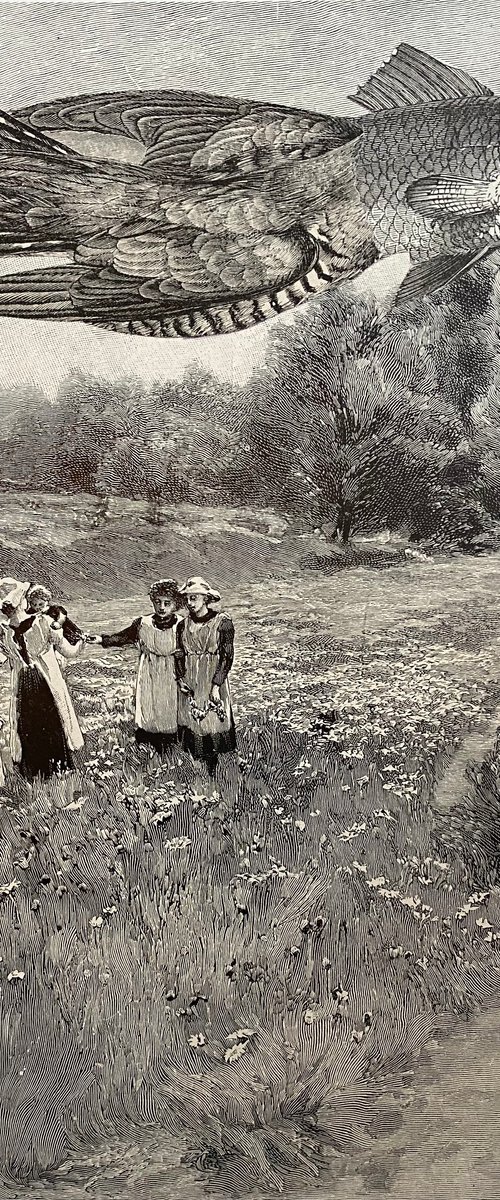 The Wild Meadow by Tudor Evans