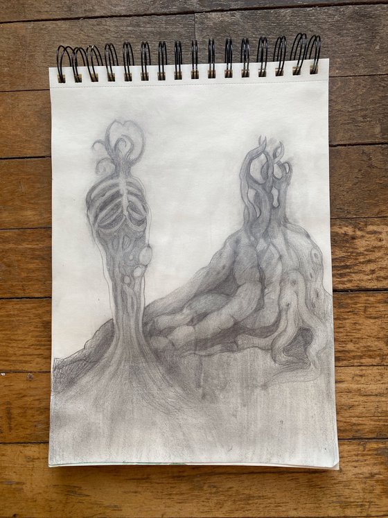 Roots