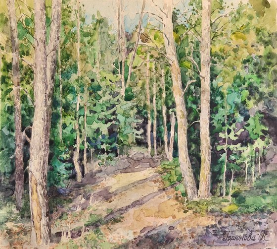 Sun rays in the park