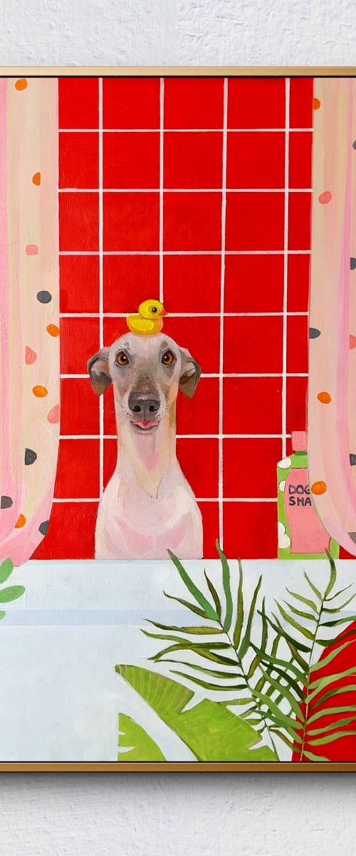 Cute Italian greyhound by Alexandra Sergeeva