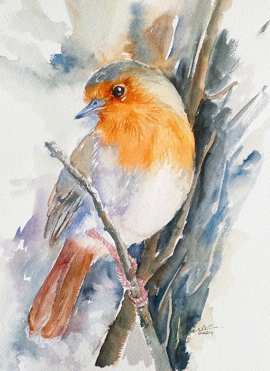 Chirpy Robin by Arti Chauhan