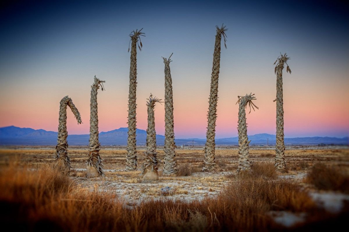 Twentynine Palms, California, USA by Rod Edwards