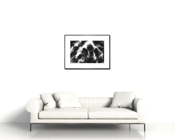 Northern Woods 8 - Unmounted (24x16in)