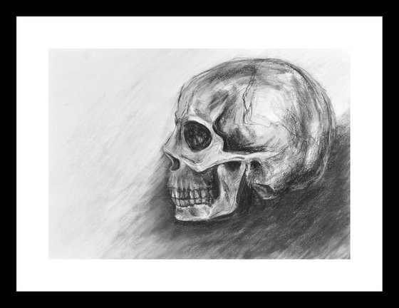 Skull Sketch Profile