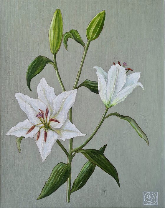 Oriental Lily Study 2