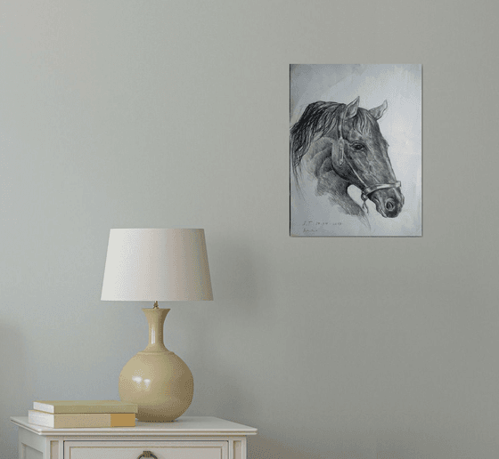 Pencil horse