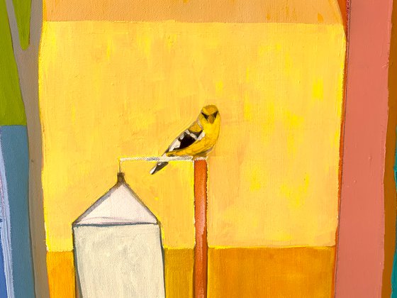First Finch on the New Feeder Was on a Sunny and 60 February Day