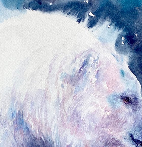 A Blue Winter_ Polar Bear