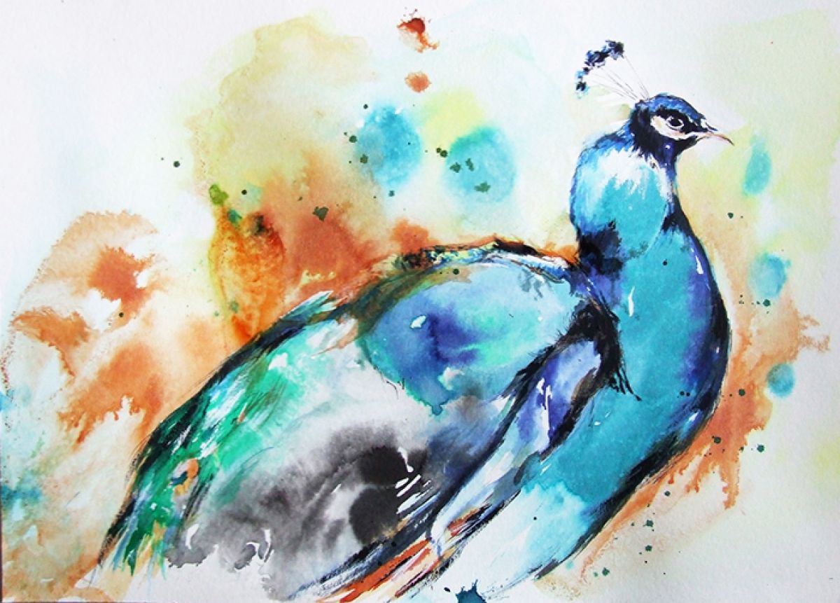 Peacock by Anna Sidi-Yacoub